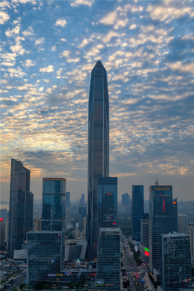 上海的沐景品茶：一场茶叶之旅